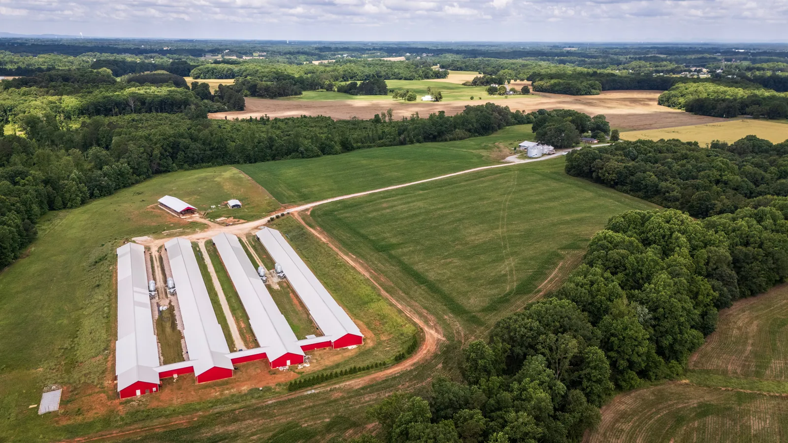 An aerial view of fields and farm buildings in Landis, North Carolina