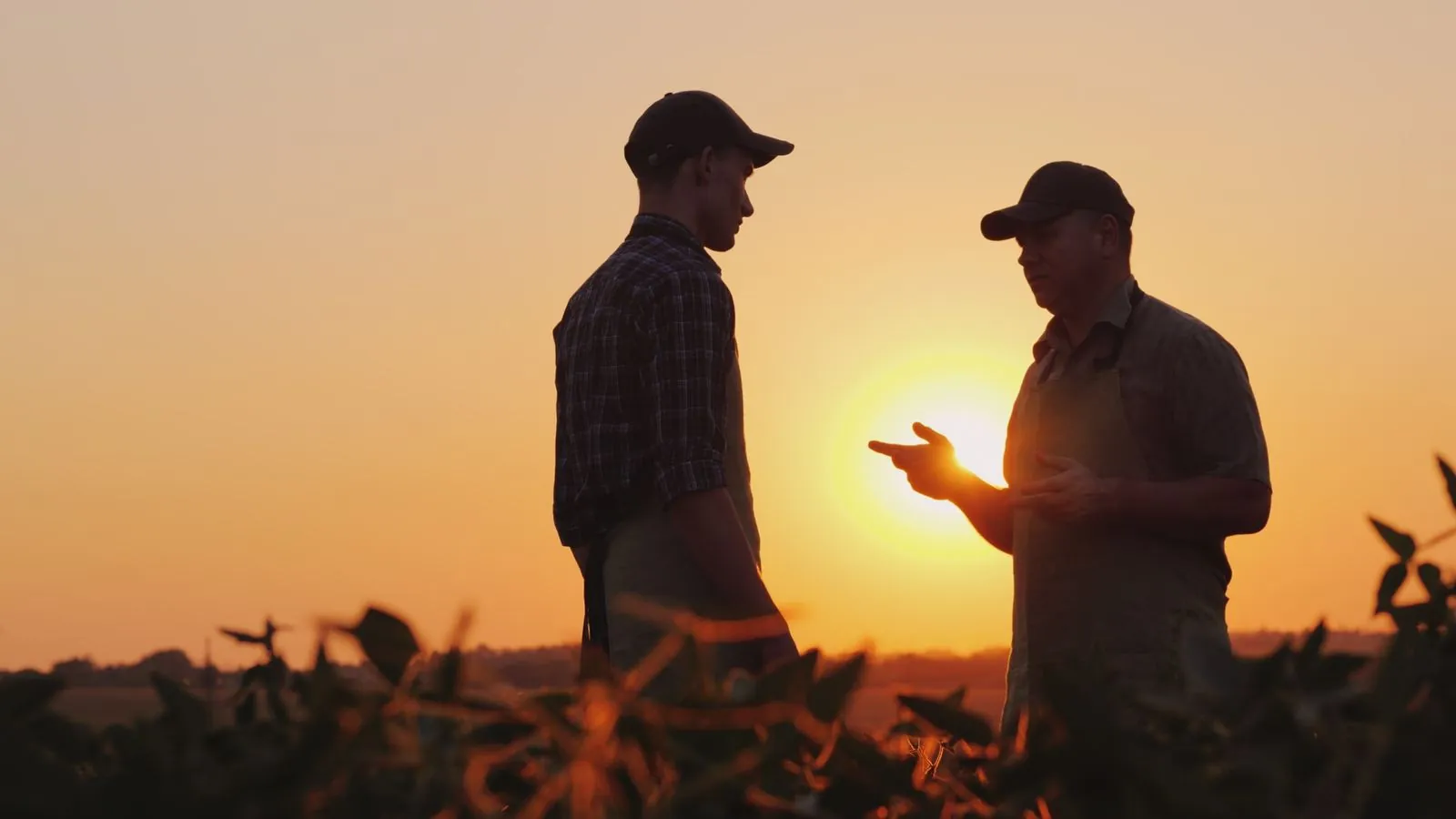 Two farmers talking in a field at sunset