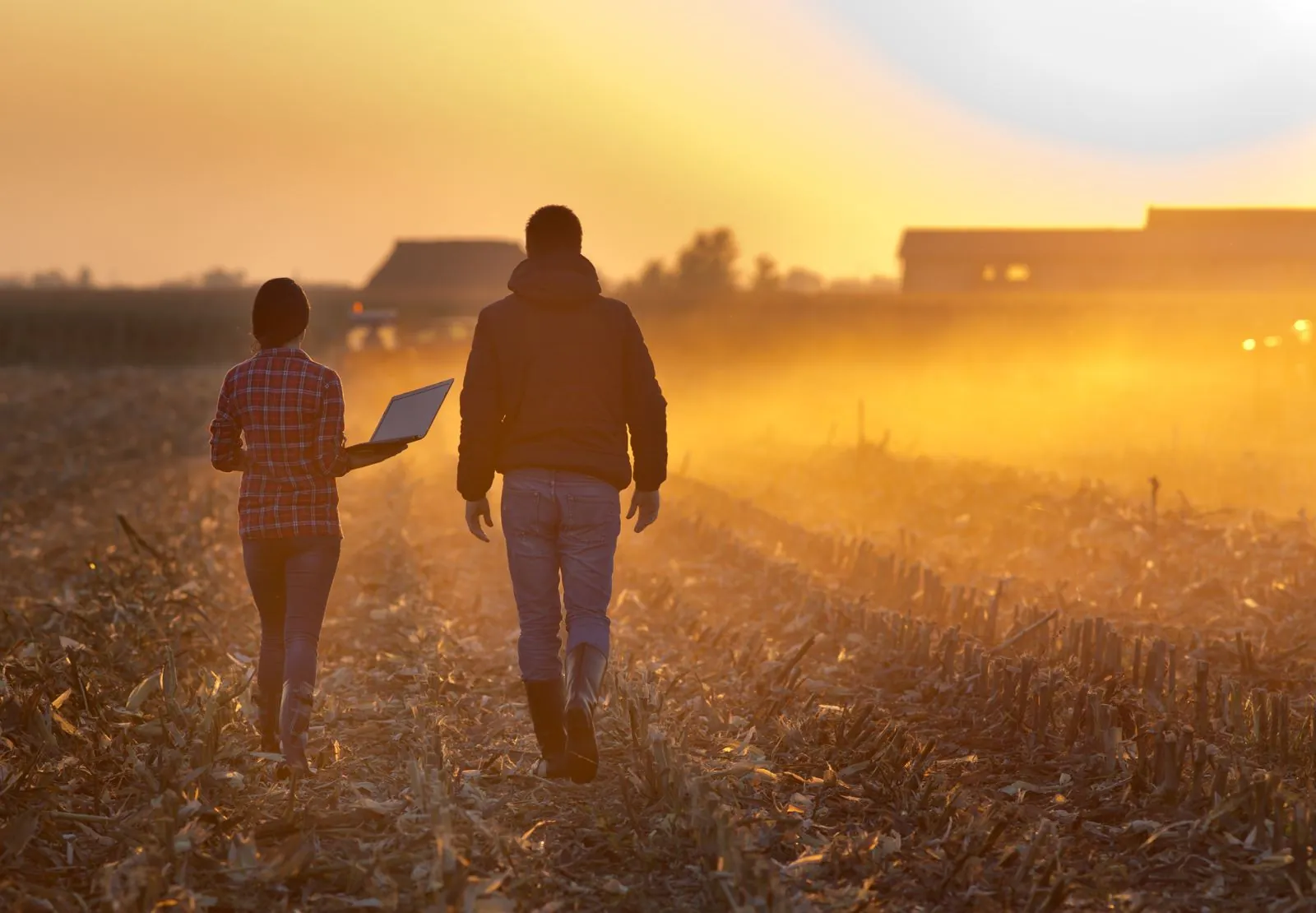 An adult and child walking together through a field at sunrise