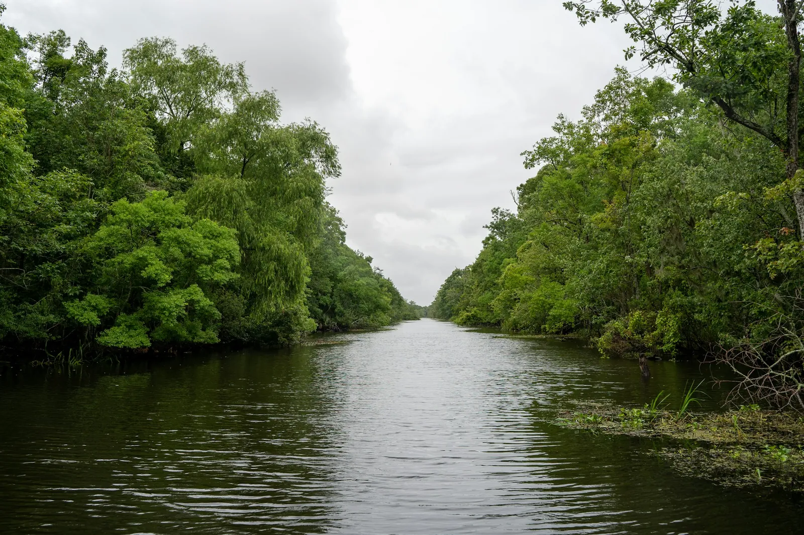 A tree-lined waterway in LaPlace, Louisiana