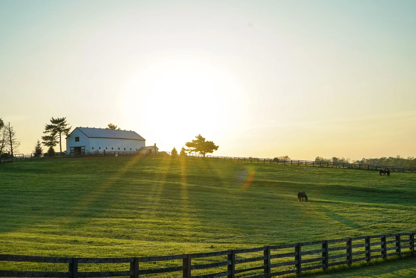 A sunlit rural property with fenced green pasture and a white barn