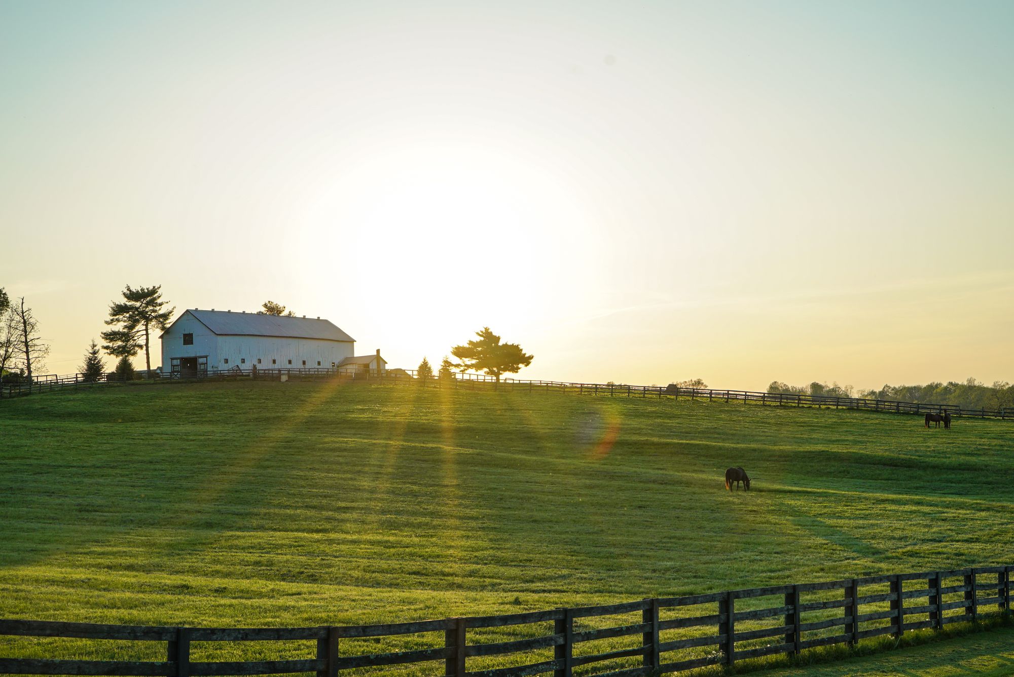A sunlit rural property with fenced green pasture and a white barn