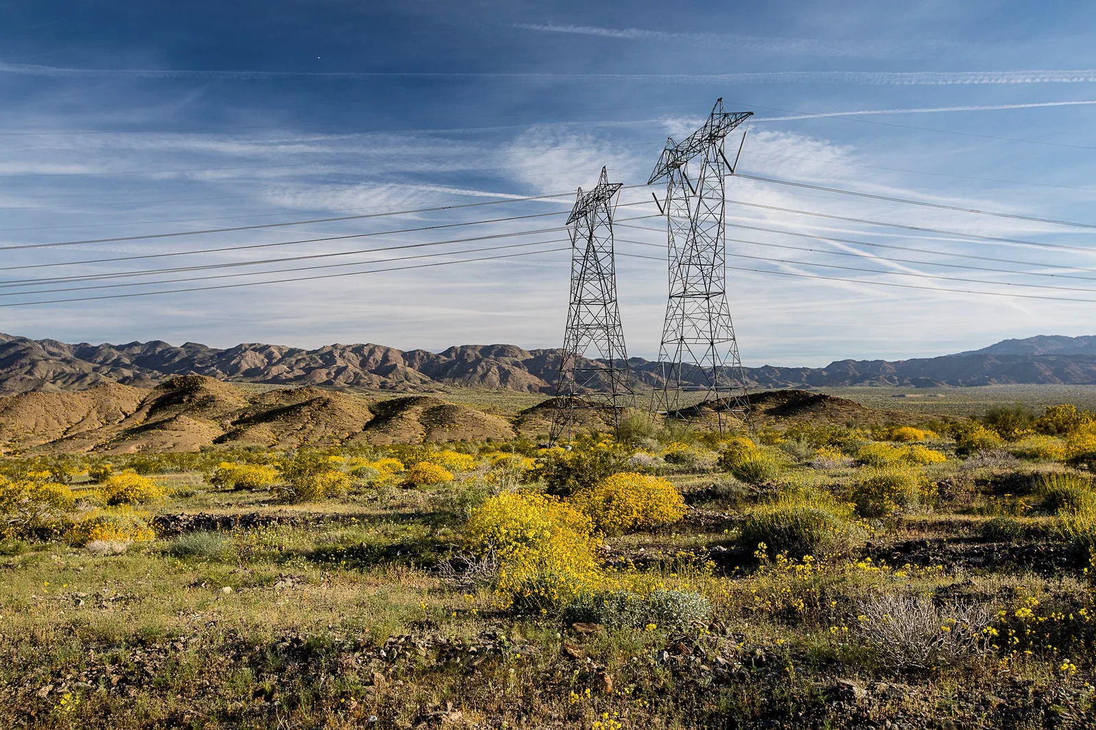 Electricity transmission towers crossing an open landscape with yellow wildflowers