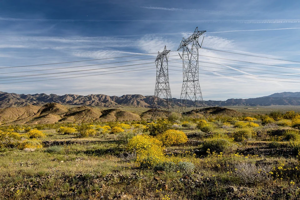 Electricity transmission towers crossing an open landscape with yellow wildflowers